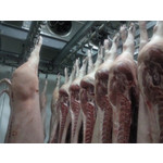 P.P.H.U. Jaślikowscy