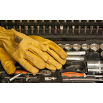 Glovmid Michał Zalewski