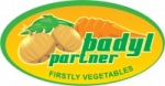 F.P.H.U. BADYL PARTNER