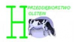 Przedsiębiorstwo HOLSTEIN