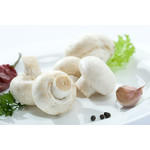 GLGroup Spółdzielnia