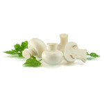 East Mushrooms Sp. z o.o.