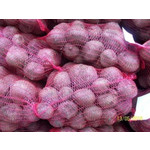 P.P.H.U. Lemat Lech Tomczak