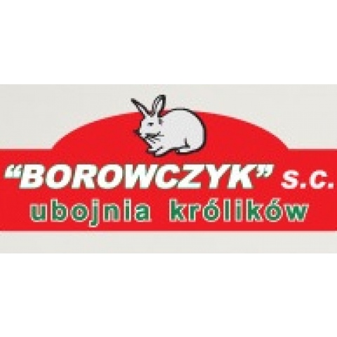 Firma Borowczyk S.C.