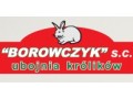 Firma Borowczyk S.C.