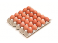 Egg Export Poland