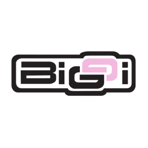 Biggi Underwear